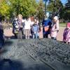 IMG-9afe2e31aa873d103a3fc318a602dccd-V